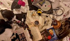 Galerie photo Autoportraits des THLP